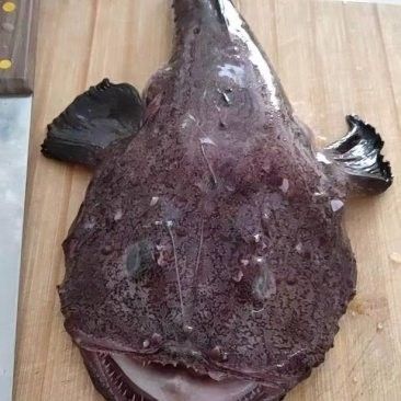 連云港金龍魚批發價格是多少（港金龍魚批發價格具體情況由于市場價格波動和供應情況的變化）