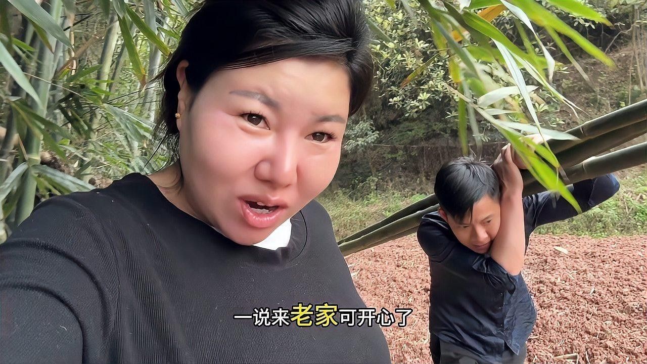 如何選擇健康的龍魚苗（健康的龍魚苗如何挑選健康的龍魚苗養殖全攻略）