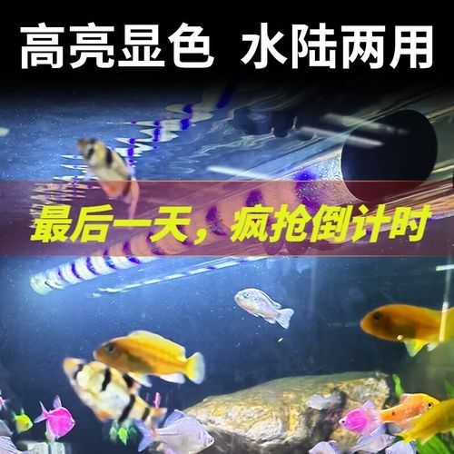 森森龍魚缸LED燈的價格范圍（森森魚缸led燈價格范圍）