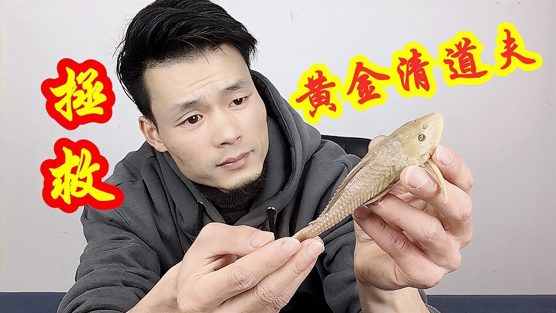 清道夫在什么情況下會死亡（清道夫在什么情況下會死亡，清道夫魚死亡的原因包括以下幾個方面）