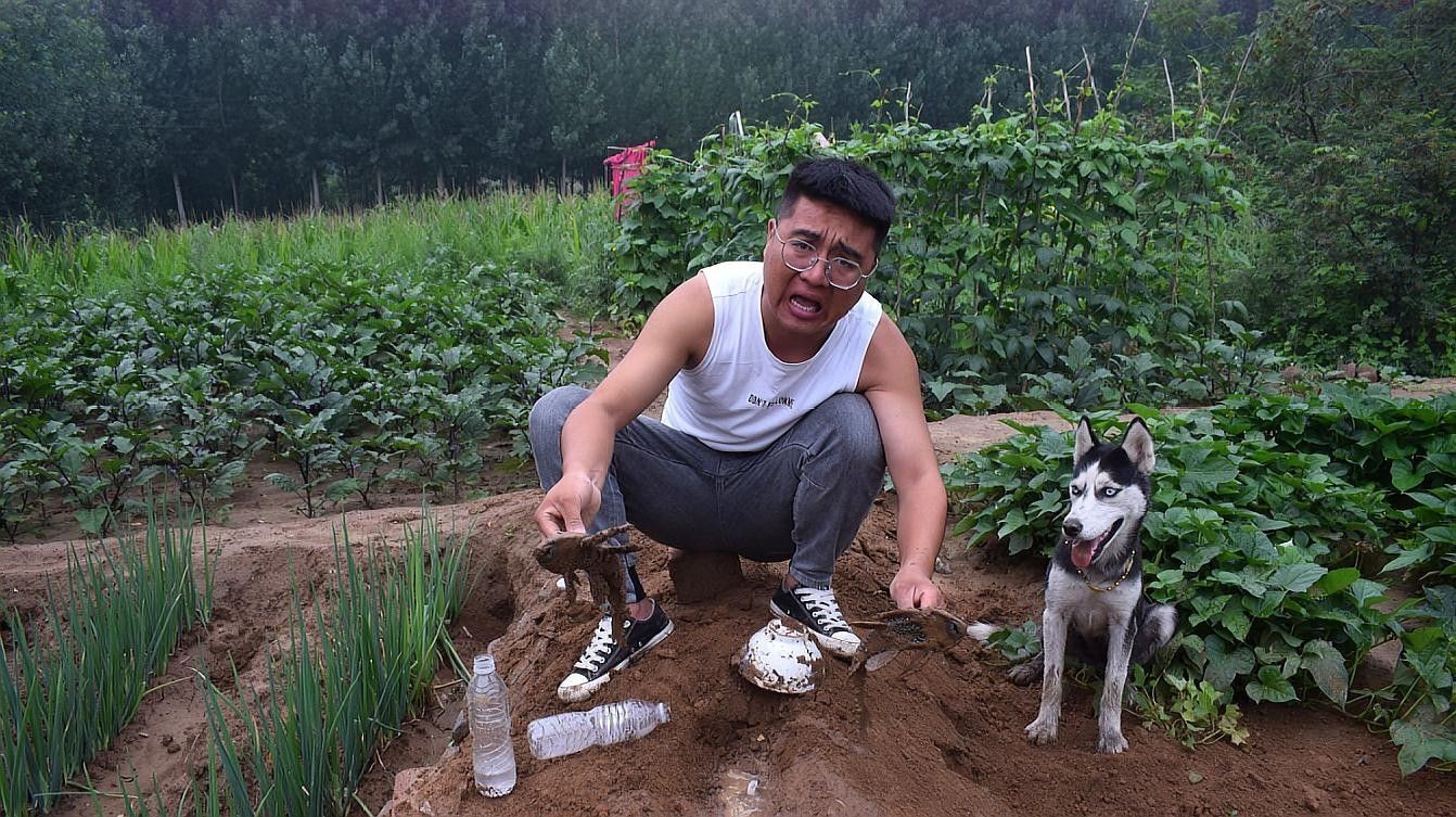 清道夫在什么情況下會死亡（清道夫在什么情況下會死亡，清道夫魚死亡的原因包括以下幾個方面）