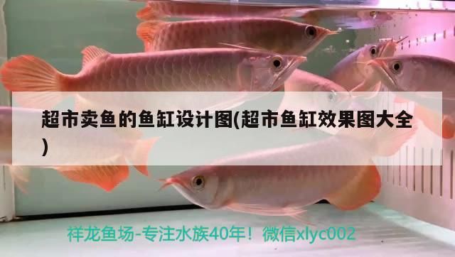 超市賣魚的魚缸設計圖(超市魚缸效果圖大全)（超市賣魚的魚缸設計圖）