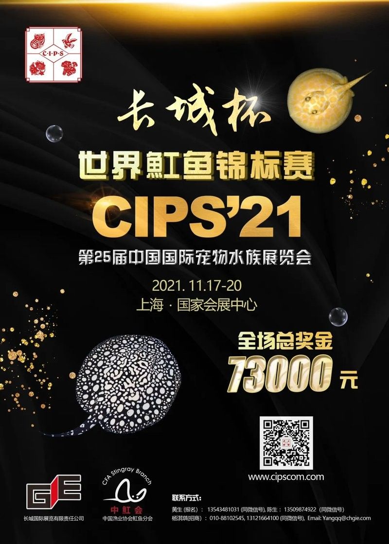 如何聯系長城杯國際水族賽事組委會？（長城杯國際水族賽事組委會怎么聯系？）