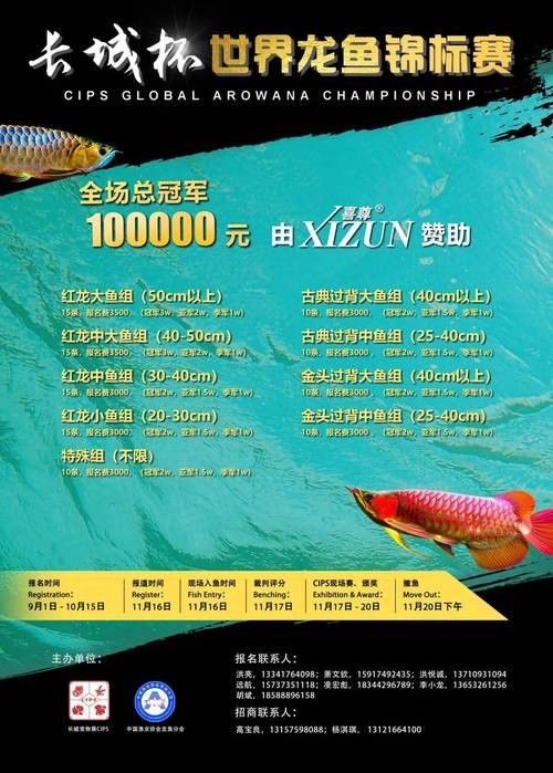 如何聯系長城杯國際水族賽事組委會？（長城杯國際水族賽事組委會怎么聯系？）