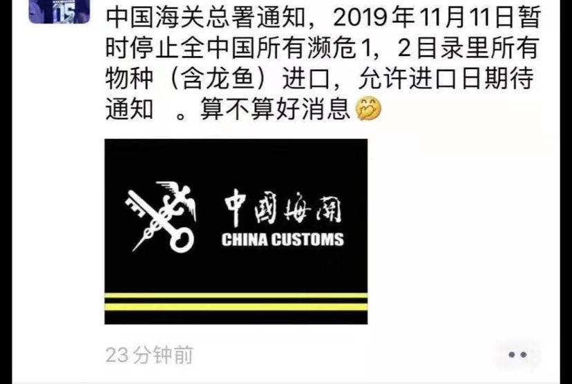 關于龍魚海關進口問題（關于龍魚海關進口問題的思考）