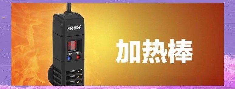 如何選擇適合金龍魚的加熱棒（如何選擇適合大型龍魚缸的加熱棒） 如何選擇適合金龍魚的加熱棒（如何選擇適合大型龍魚缸的加熱棒） 龍魚百科 第6張