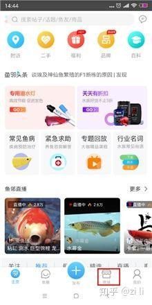 金龍魚缸加熱棒多久需要更換（關(guān)于金龍魚缸加熱棒更換周期的摘要）