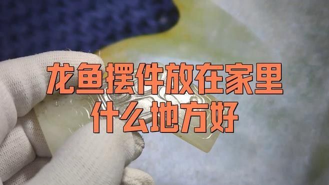 龍魚風水小說有哪些著名作者（著名的龍魚風水小說作者）