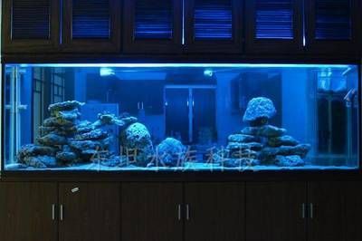 廣州買魚缸去哪里買便宜：在廣州買魚缸的便宜地點是基于搜索結果的建議結果的 廣州買魚缸去哪里買便宜：在廣州買魚缸的便宜地點是基于搜索結果的建議結果的 觀賞魚百科 第3張