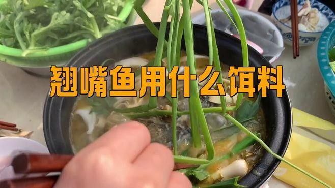 龍魚翹嘴的餌料有哪些？（釣翹嘴用什么餌料） 龍魚翹嘴的餌料有哪些？（釣翹嘴用什么餌料） 龍魚百科 第1張
