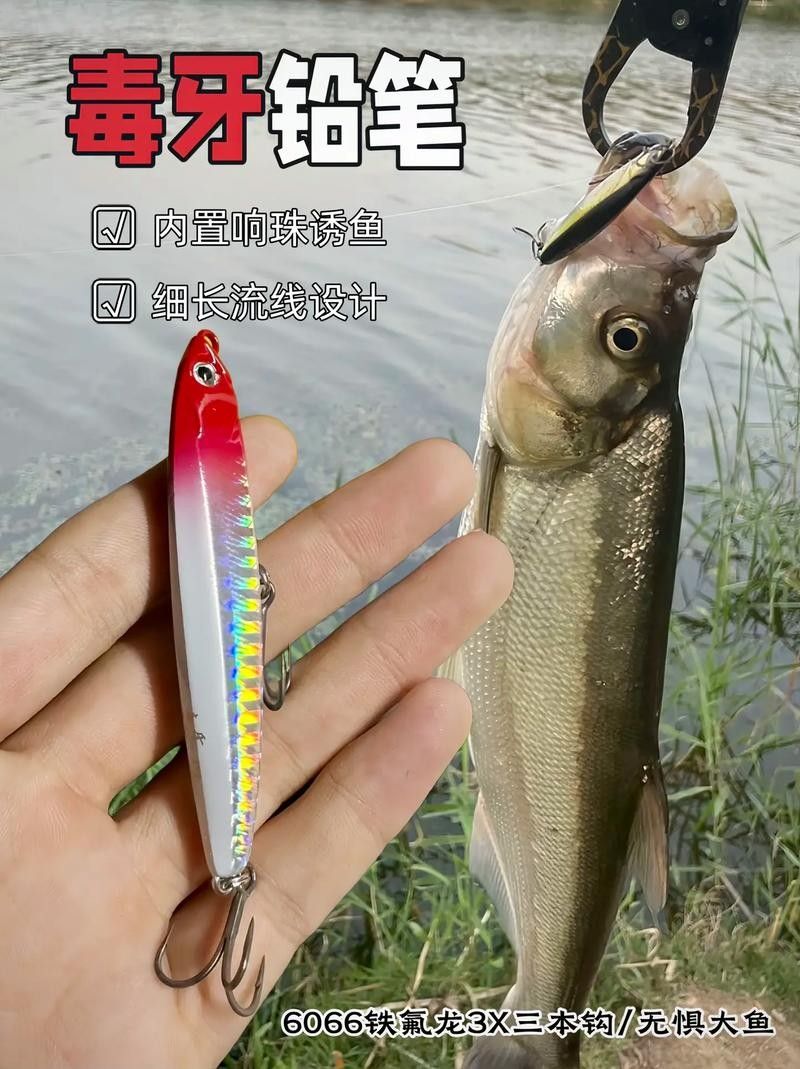 龍魚翹嘴的餌料有哪些？（釣翹嘴用什么餌料） 龍魚翹嘴的餌料有哪些？（釣翹嘴用什么餌料） 龍魚百科 第7張