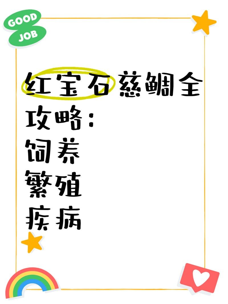 紅寶石魚混養(yǎng)需要多久適應(yīng)？（紅寶石魚混養(yǎng)適應(yīng)時(shí)間研究）