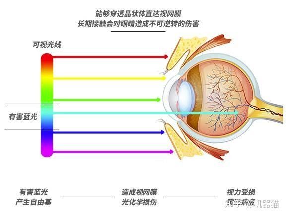 哪款燈的價格最親民？