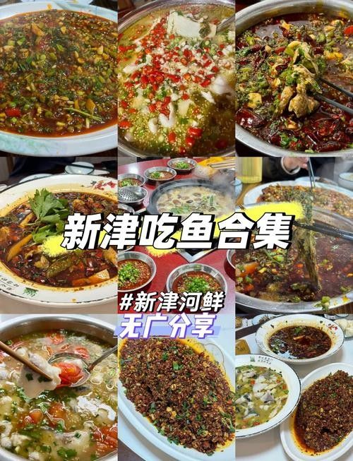 新津當地人吃魚的地方推薦(四川新津當地人推薦的吃魚的好去處:新津魚頭王-) 觀賞魚百科 第3張 新津當地人吃魚的地方推薦(四川新津當地人推薦的吃魚的好去處:新津魚頭王-) 新津當地人吃魚的地方推薦(四川新津當地人推薦的吃魚的好去處:新津魚頭王-) 觀賞魚百科 第3張
