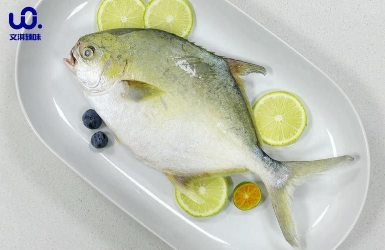 廣東湛江金鯧魚