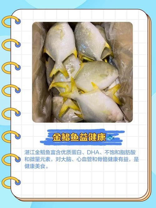 廣東湛江金鯧魚