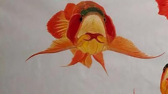 龍魚老張嘴（龍魚張嘴呼吸這些原因你可能沒注意到）