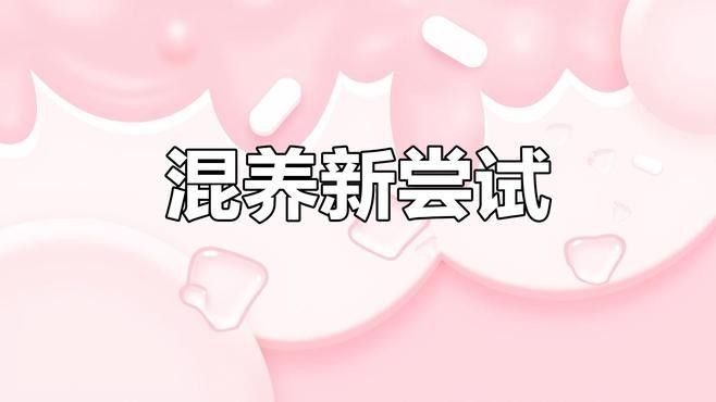 龍魚和蝴蝶鯉混養需要哪些躲避物