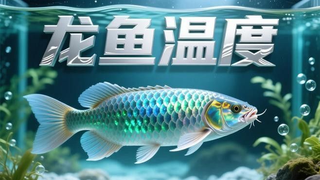 臺北龍魚（“臺北龍魚”在臺灣文化中的地位如何，臺北龍魚保育中心在哪里）
