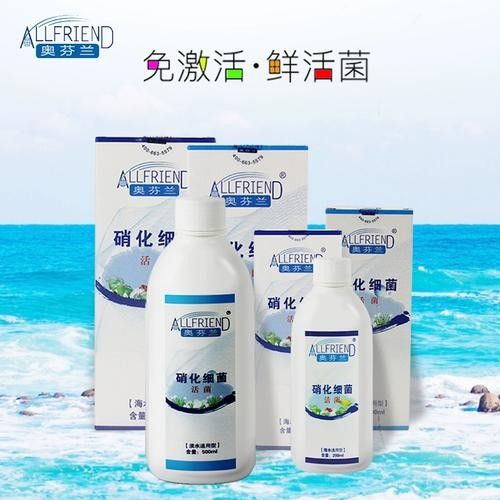 海水龍魚的市場價格如何