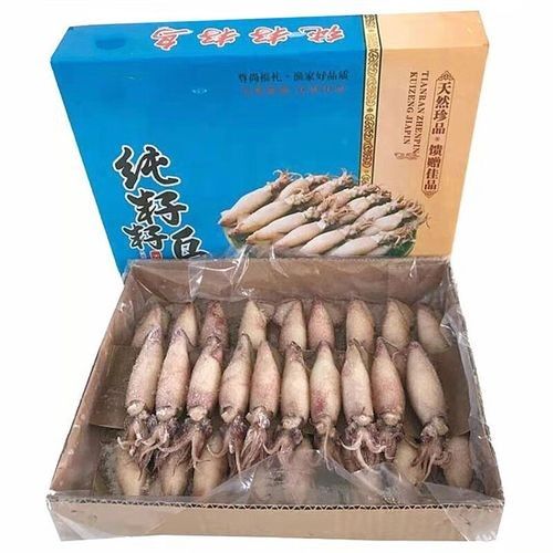 瑤海金龍魚 瑤海金龍魚 觀賞魚百科 第12張