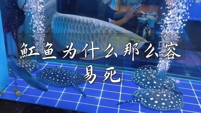 魟魚對水質(zhì)有哪些具體要求？