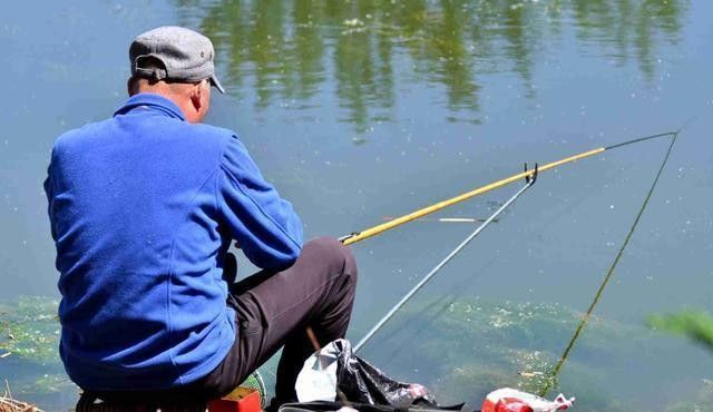 曼龍魚吃什么水果最好 曼龍魚吃什么水果最好 龍魚百科 第3張