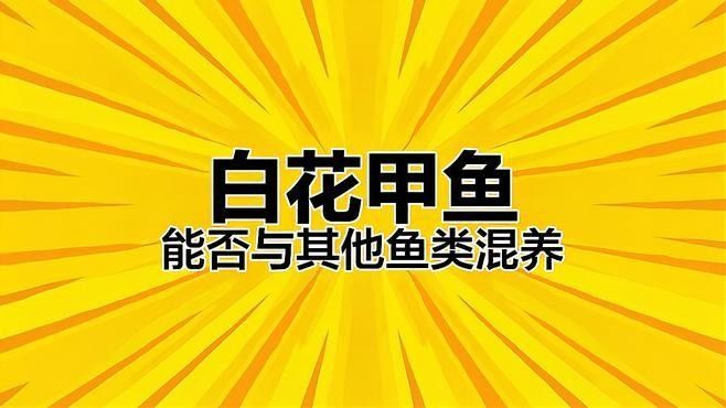 斑馬狗頭魚和哪些魚混養(yǎng)比較合適？ 斑馬狗頭魚和哪些魚混養(yǎng)比較合適？ 龍魚百科 第3張