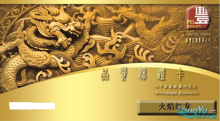 如何辨別龍魚芯片證書的真偽（如何辨別龍魚芯片證書真偽）
