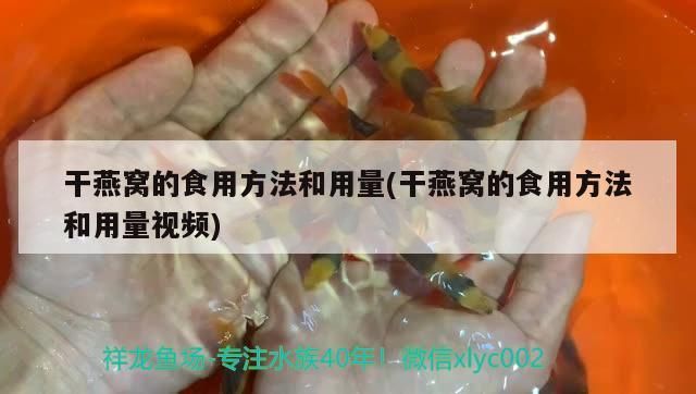 干燕窩的食用方法和用量(干燕窩的食用方法和用量視頻)