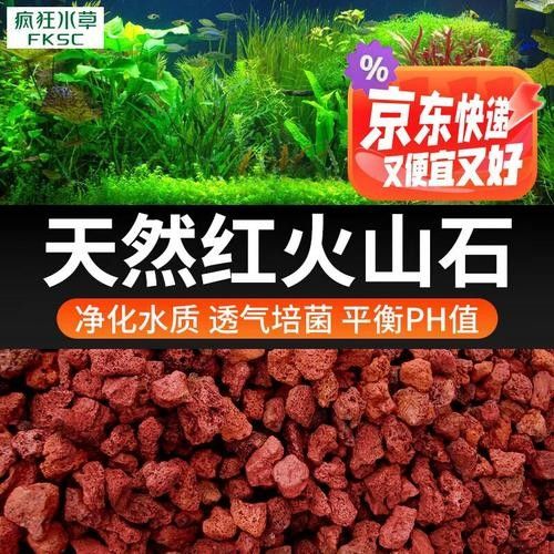 雷龍魚缸底砂用什么顏色好