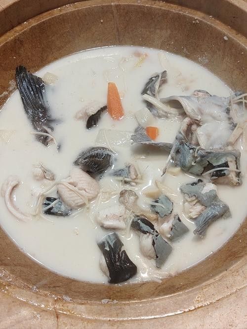 云南蒸汽石鍋魚圖片 云南蒸汽石鍋魚圖片 觀賞魚百科 第5張