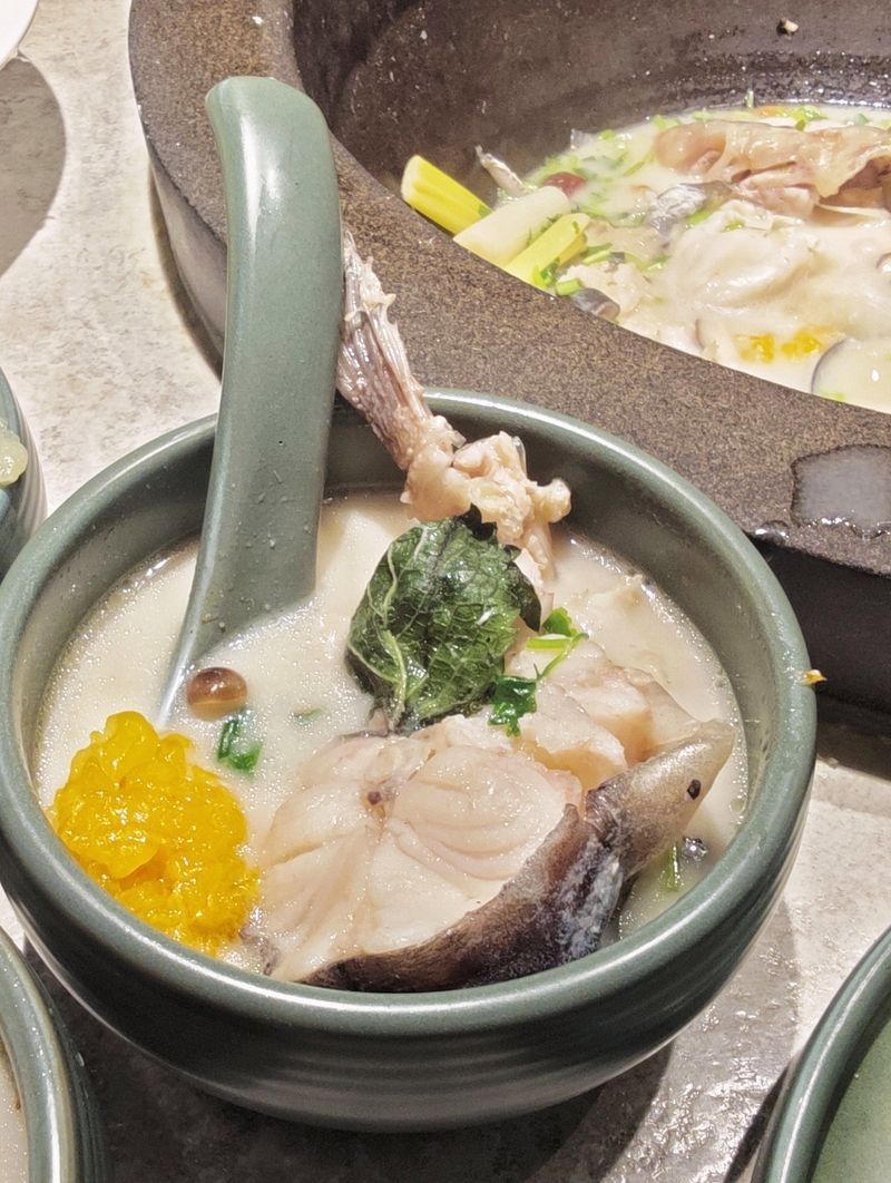 云南蒸汽石鍋魚圖片 云南蒸汽石鍋魚圖片 觀賞魚百科 第8張