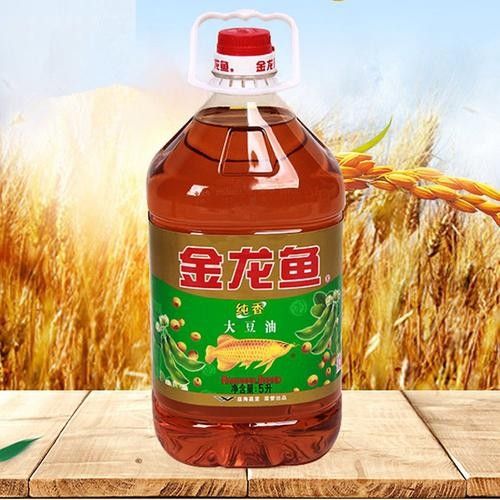 甕安金龍魚 甕安金龍魚 觀賞魚百科 第6張