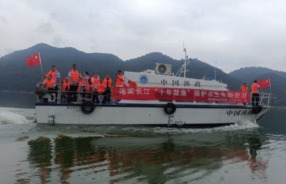 甕安金龍魚 甕安金龍魚 觀賞魚百科 第11張
