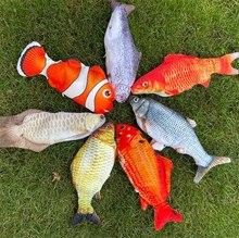 哈爾濱龍魚魚苗有哪些品種？（哈爾濱哪里可以買到健康的龍魚魚苗？） 哈爾濱龍魚魚苗有哪些品種？（哈爾濱哪里可以買到健康的龍魚魚苗？） 龍魚百科 第10張