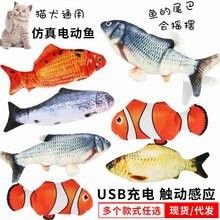 哈爾濱龍魚魚苗有哪些品種？（哈爾濱哪里可以買到健康的龍魚魚苗？） 哈爾濱龍魚魚苗有哪些品種？（哈爾濱哪里可以買到健康的龍魚魚苗？） 龍魚百科 第9張