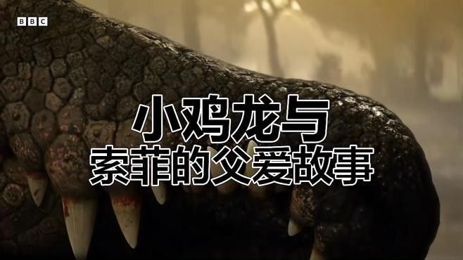 哪些恐龍會親代撫育幼仔？