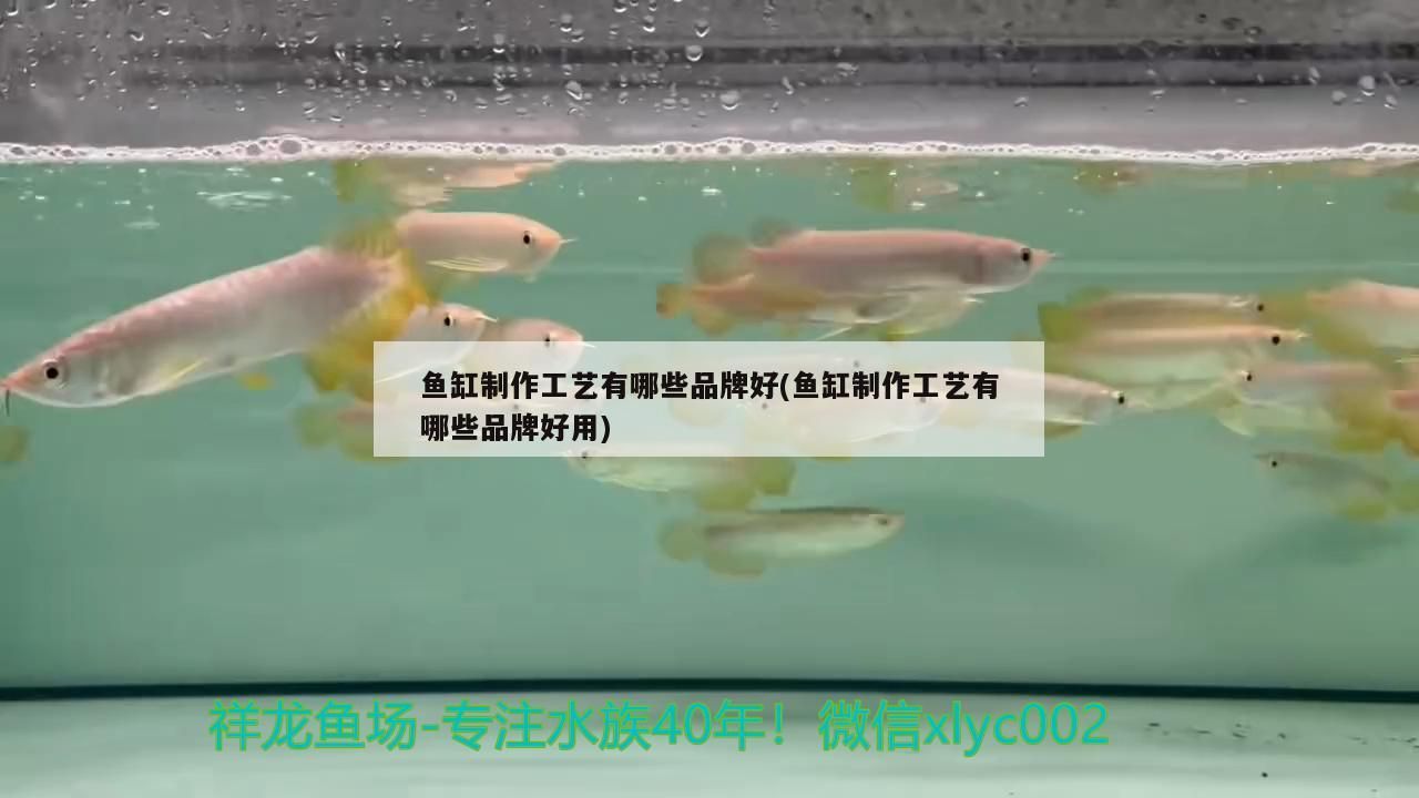 魚缸制作工藝有哪些品牌好(魚缸制作工藝有哪些品牌好用) 魚缸制作工藝有哪些品牌好(魚缸制作工藝有哪些品牌好用) 觀賞魚百科