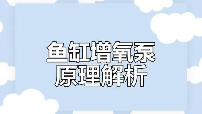 龍魚打氧應該打多大？