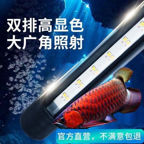 雷龍魚缸的照明設備如何選擇
