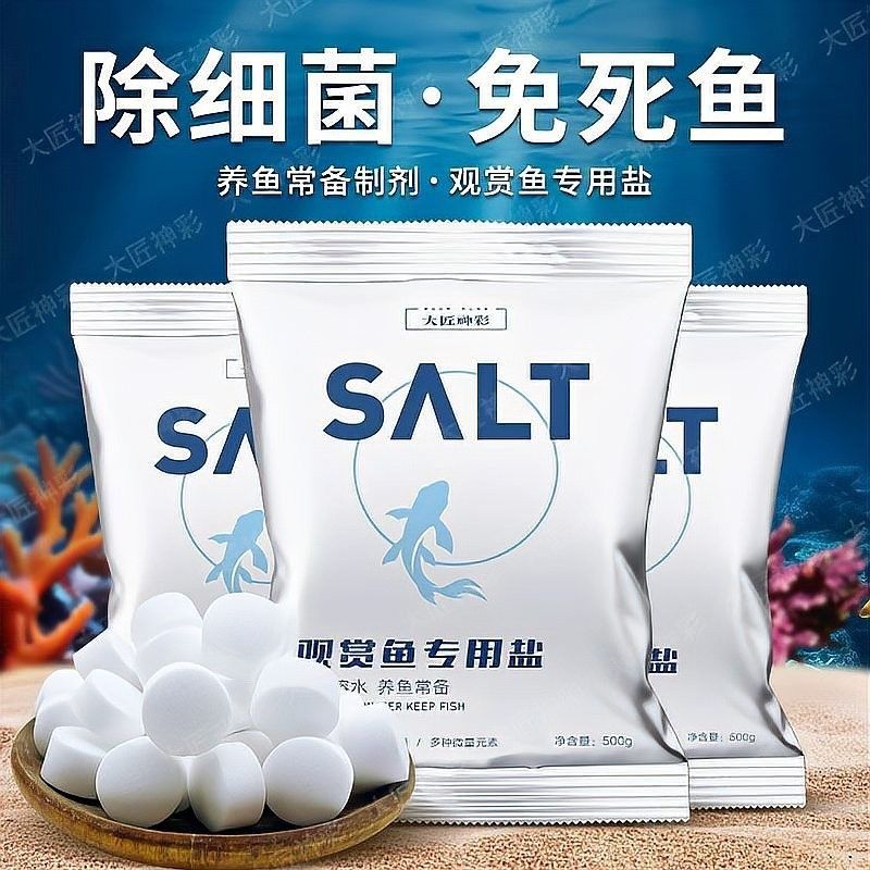 如何預防小高背金龍魚疾病？（小高背金龍魚常見疾病有哪些如何預防養魚小藝）