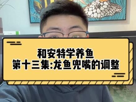 龍魚掉嘴最忌三種東西