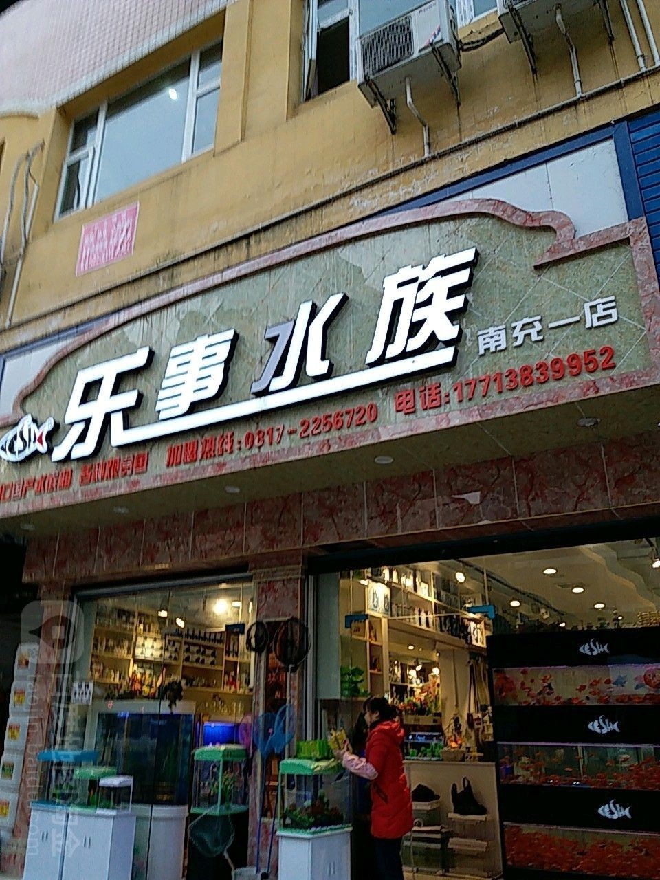 高坪哪個水族館龍魚好？祥龍魚場龍魚（南充高坪哪個水族館龍魚好祥龍魚場龍魚養殖場信息） 高坪哪個水族館龍魚好？祥龍魚場龍魚（南充高坪哪個水族館龍魚好祥龍魚場龍魚養殖場信息） 龍魚百科 第7張