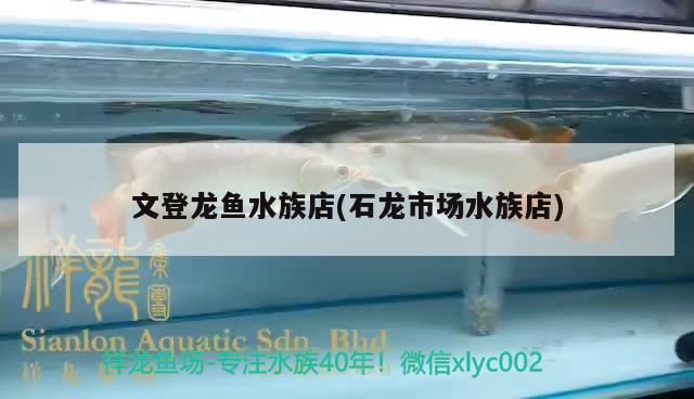 文登龍魚水族店(石龍市場(chǎng)水族店)（文登龍魚水族店）