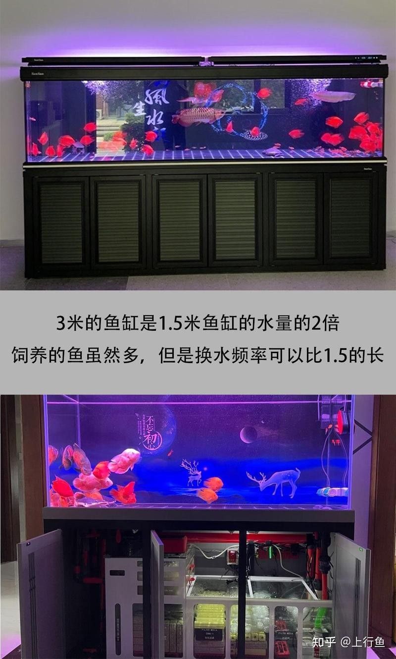 發情期換水時應該如何操作？