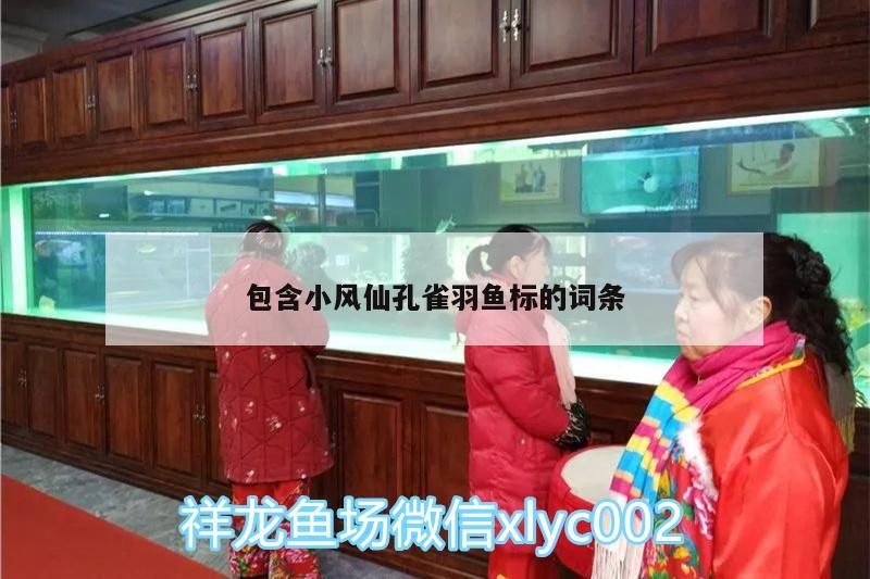 包含小風仙孔雀羽魚標的詞條（小風仙孔雀羽魚標）