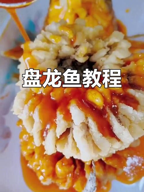 黃梅哪個(gè)水族館龍魚好？祥龍魚場龍魚（廣州龍魚祥龍魚場一條龍魚價(jià)格一般多少錢一條）