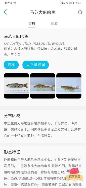 哪個(gè)平臺(tái)有視頻驗(yàn)魚服務(wù)？（提供視頻驗(yàn)魚服務(wù)的平臺(tái)）