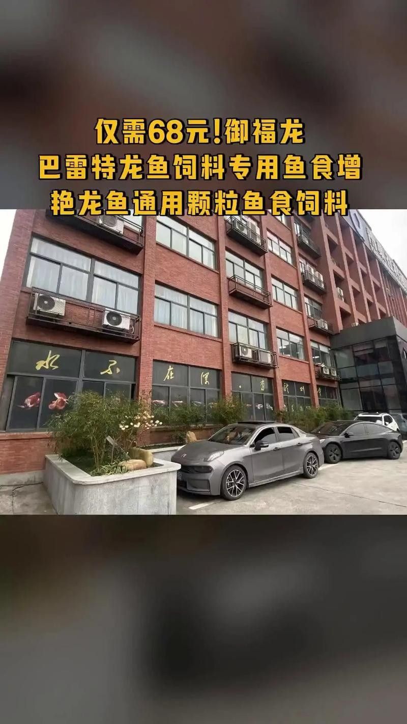 如何聯系杭州龍魚養殖基地（如何聯系杭州龍魚養殖基地，杭州龍魚養殖基地是專業從事龍魚養殖的機構）